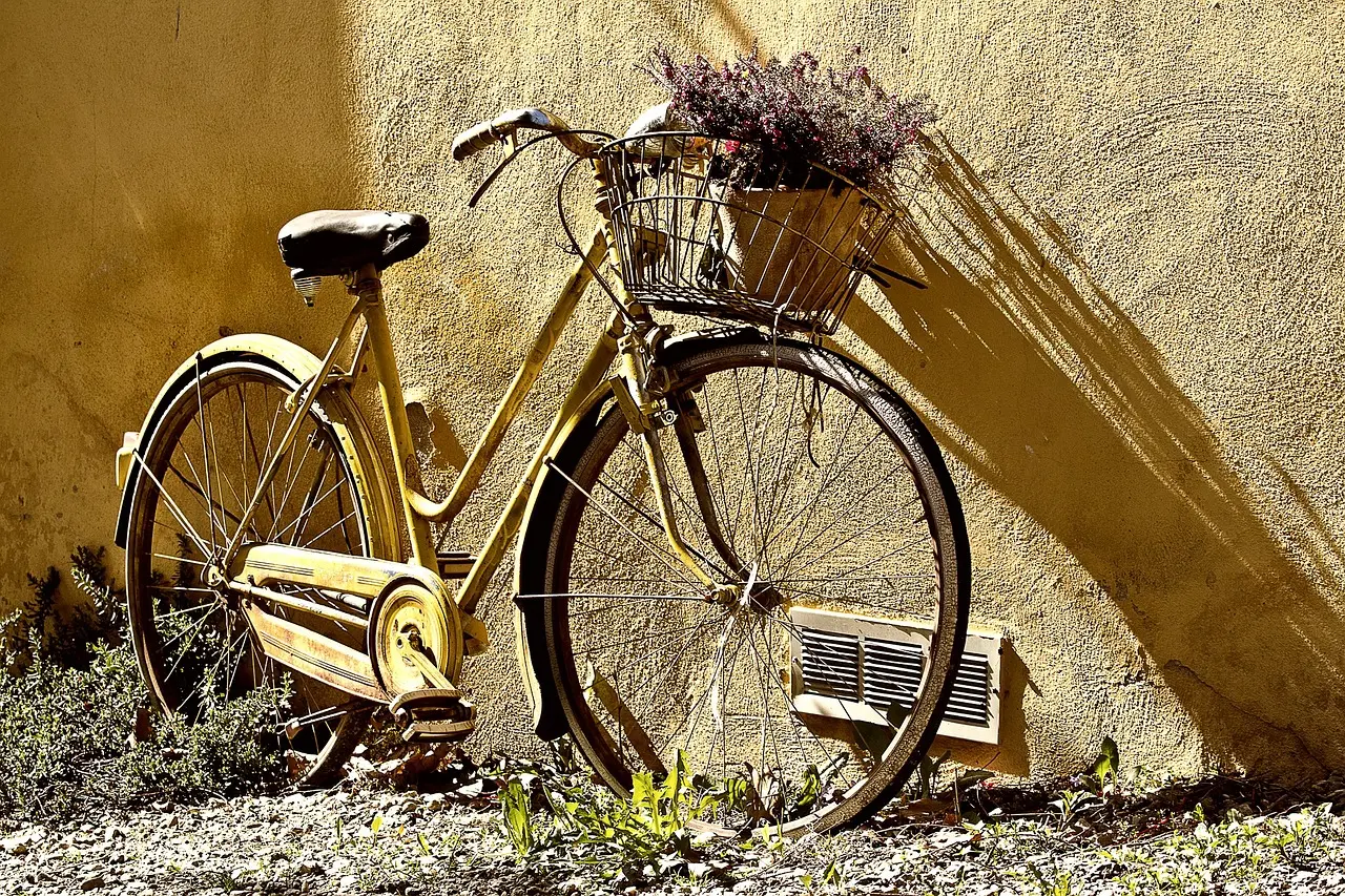 Fahrradpflege